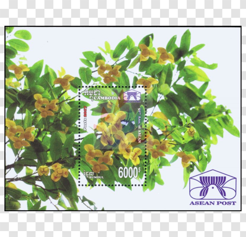 National Symbols Of Cambodia Rumduol Floral Emblem Flower - Flora Transparent PNG