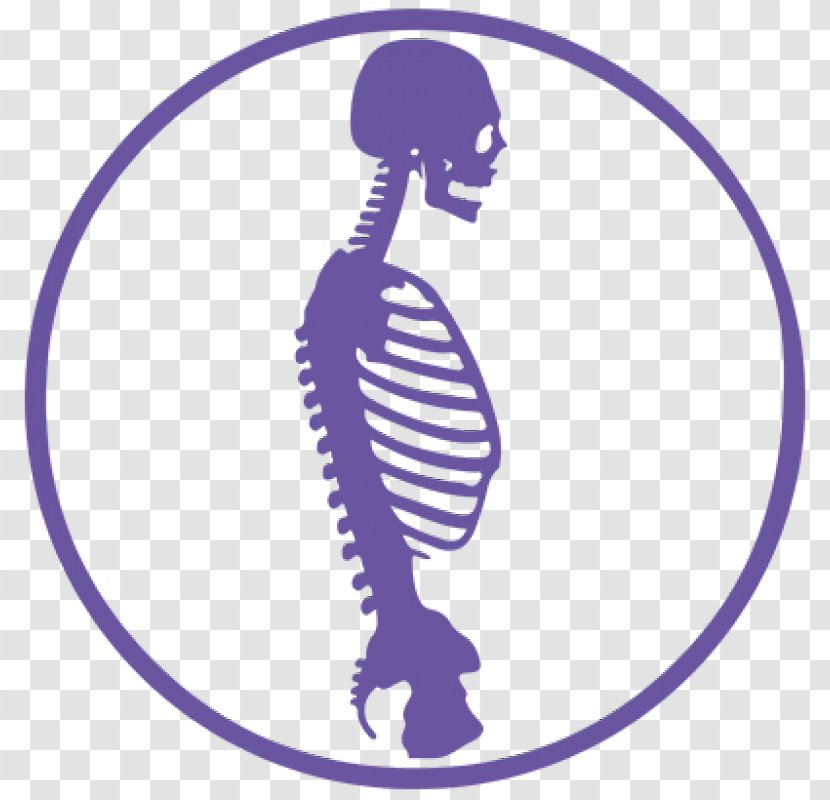 Osteopathy Clinic Physical Therapy Hawley Health Centre Transparent PNG