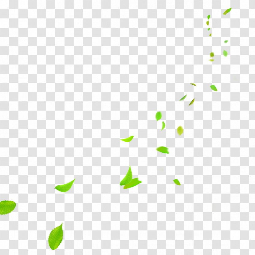 Clip Art - Rectangle - Clear Green Leaves Falling Transparent PNG