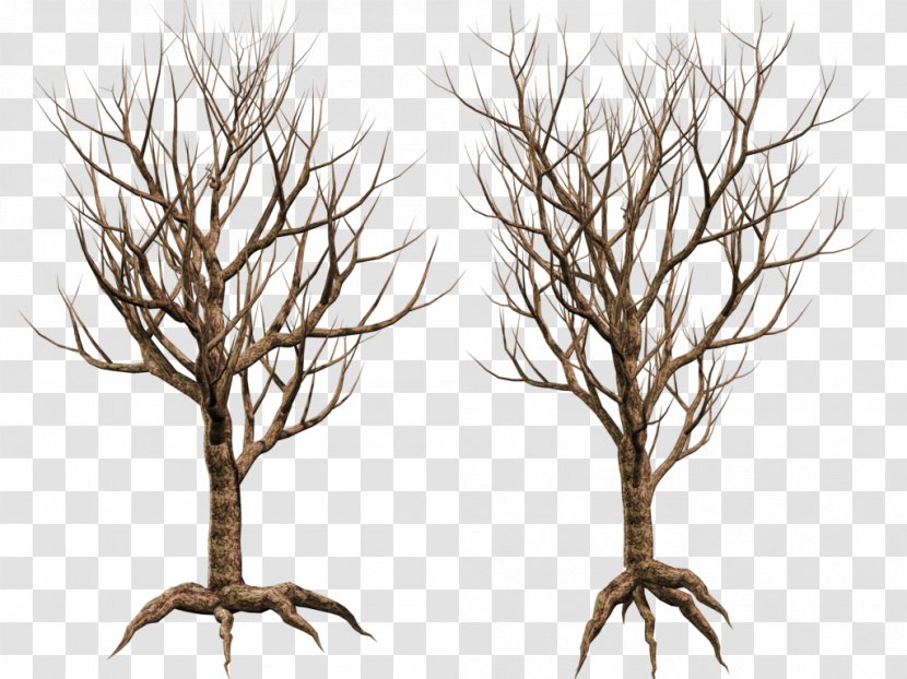 Tree Branch Twig Wood Art - Deviantart - Share Transparent PNG