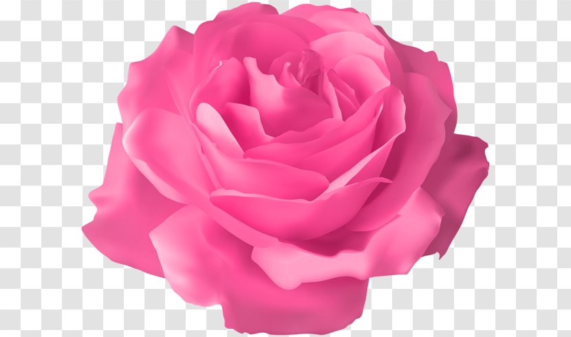 Rose Flower Clip Art - Cut Flowers - PINK Pin Transparent PNG