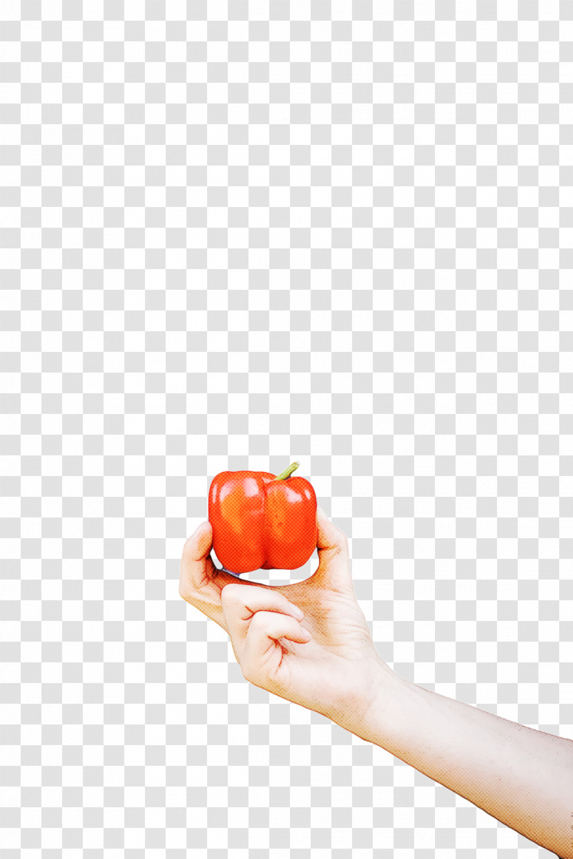 Vegetable Fruit H&m Apple Transparent PNG