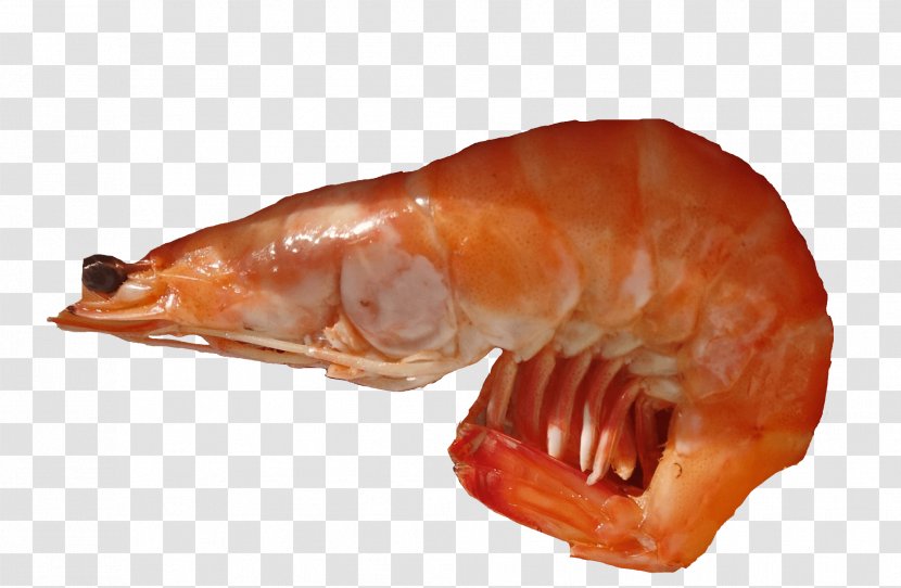 Fish - Gambas Transparent PNG