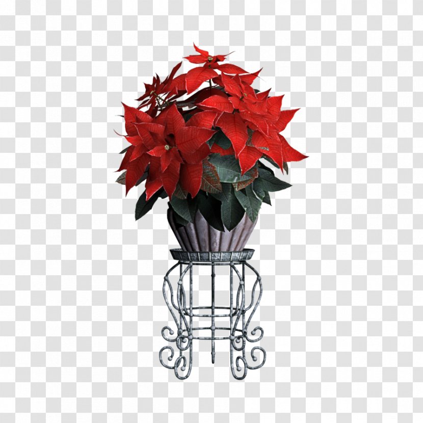 Red Poinsettia Leaf Plant Flower - Anthurium Flowerpot Transparent PNG