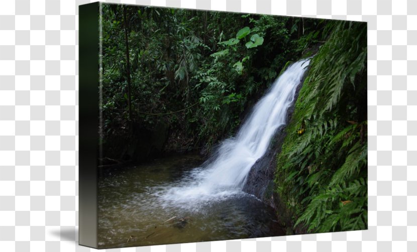 Waterfall Water Resources Nature Reserve Rainforest Stream - State Park - Scenery Transparent PNG
