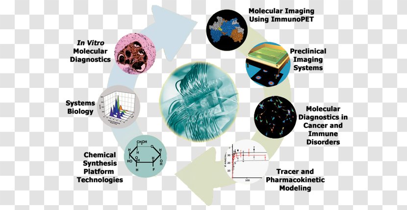 Molecular Imaging Biology Medical Diagnosis Laboratory - Labonachip Transparent PNG