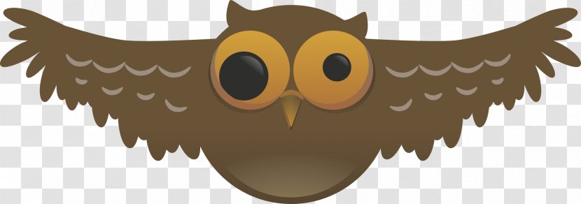 Owl Bird Cartoon Clip Art - Beak - Owls Transparent PNG