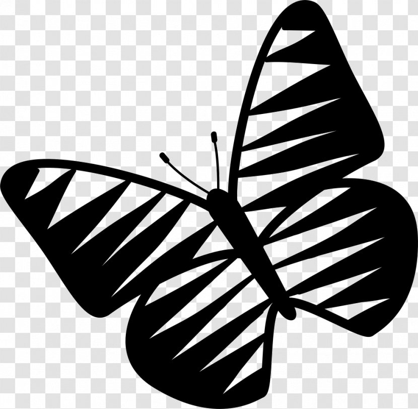 Butterfly Insect Vector Graphics Download - Logo Transparent PNG