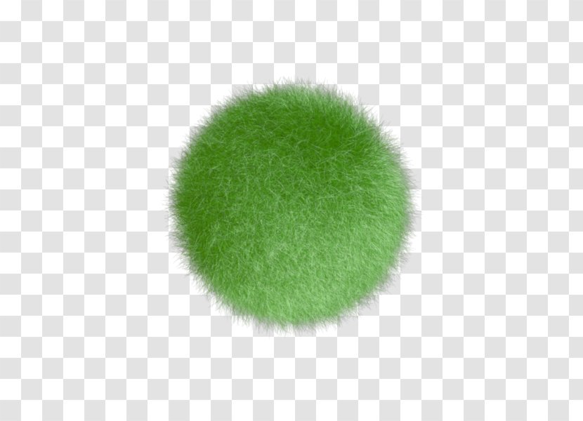 Green - Color Ball Transparent PNG