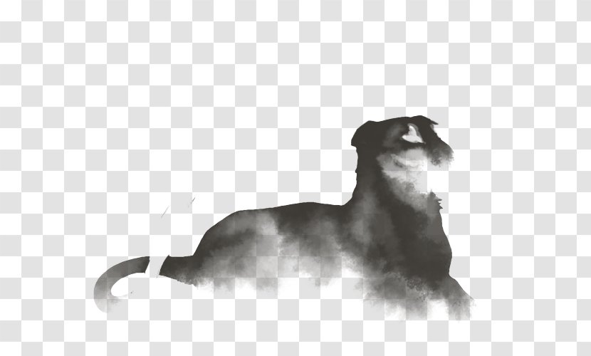 Italian Greyhound Scottish Deerhound Puppy - Dog Breed Transparent PNG