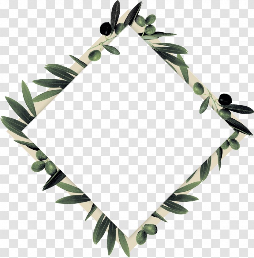 Twig Olive Branch Leaf - Abstract - Innovative Thinking Transparent PNG