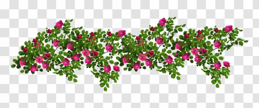 Flower Clip Art - Leaf - Man Lush Roses Vine Material Transparent PNG