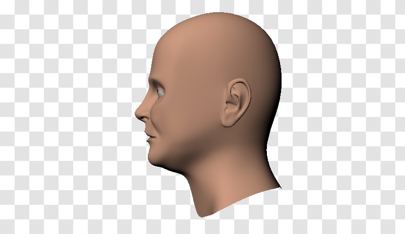 Chin Human Head Cheek Nose - Face Transparent PNG