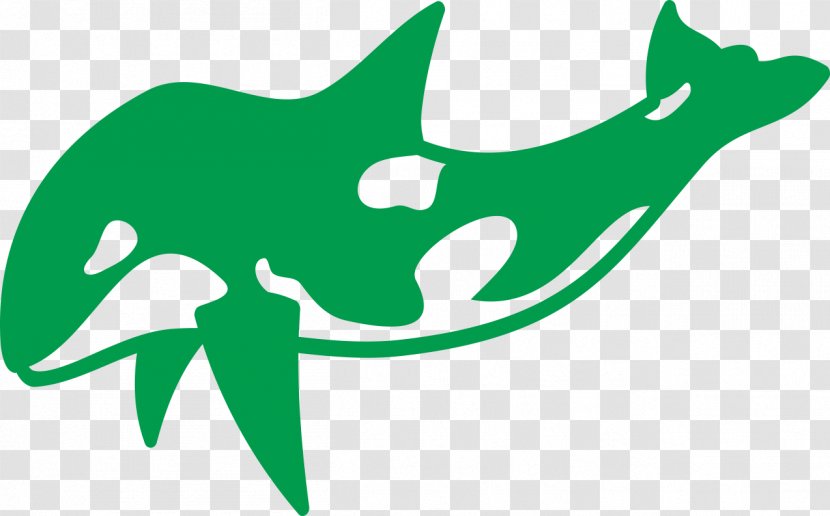 Dolphin Killer Whale Tattoo Pisces Sketch - Fauna - Green Transparent PNG
