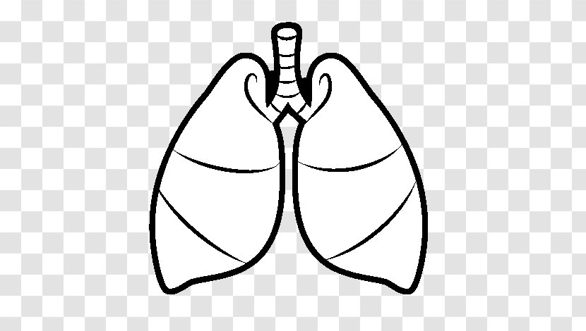 Lung Drawing Breathing Heart Respiratory System - Silhouette Transparent PNG