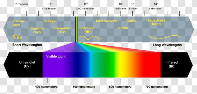 Full-spectrum Light Visible Spectrum Electromagnetic Grow - Fluorescent Lamp Transparent PNG