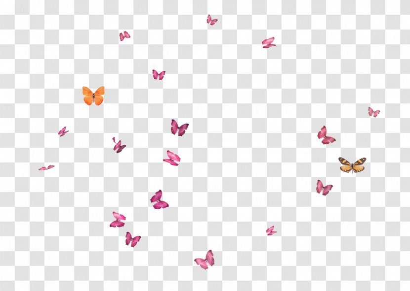 Butterfly Flight - Triangle - Flying Transparent PNG