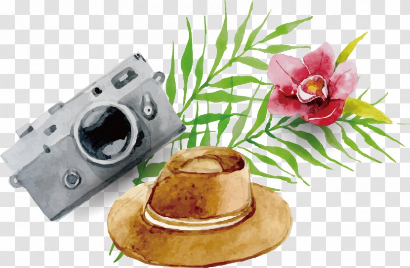 Camera Poster - Designer - Hat Travel Flowers Background Material Transparent PNG