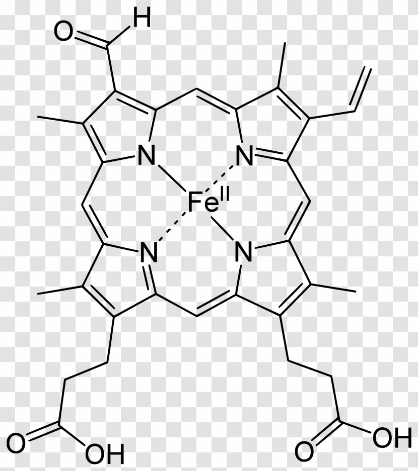 Heme Chlorocruorin Porphyrin Hemoglobin - Hemeprotein - Polychaete Transparent PNG