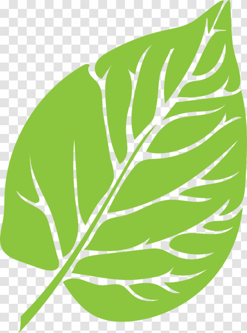 Leaf Download - Vegetable Transparent PNG