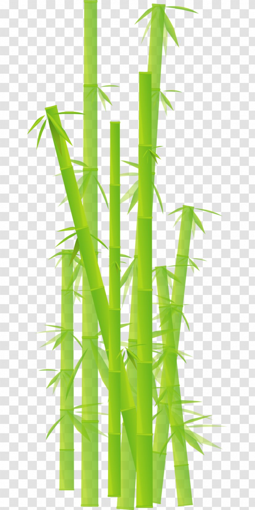 Bamboo Desktop Wallpaper Clip Art - Grass - Plants Transparent PNG