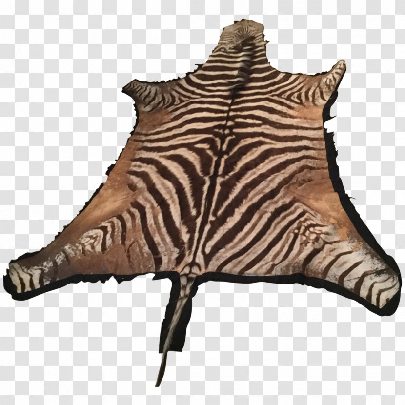 Zebra Horse Fur Carpet Tiger - Like Mammal - Rug Transparent PNG