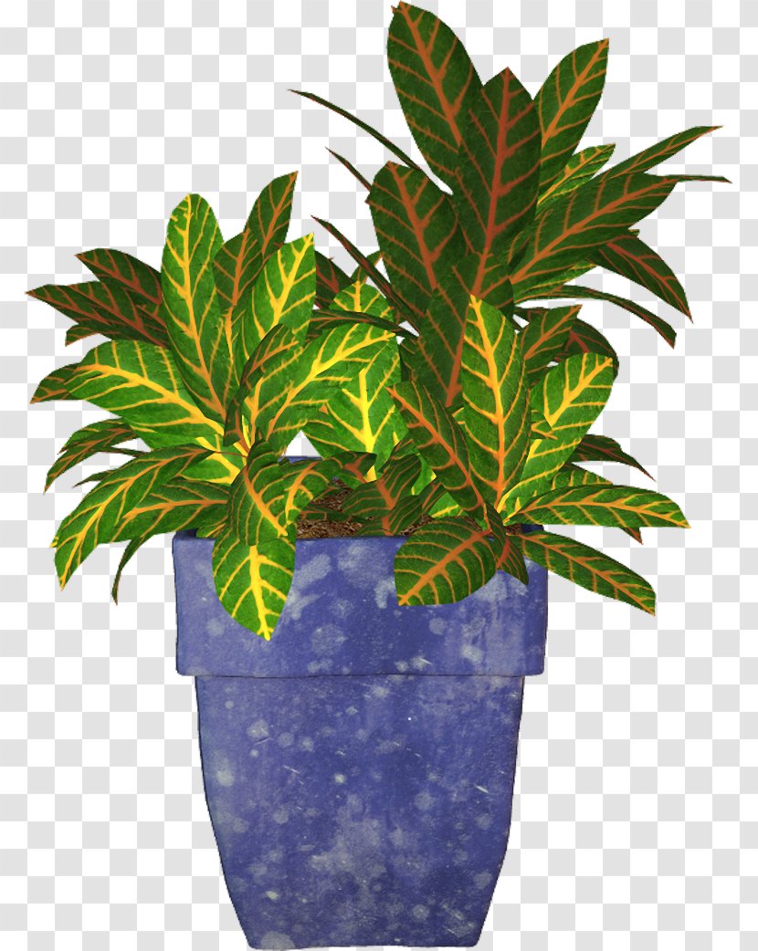 Photography Plant Flowerpot Clip Art Transparent PNG