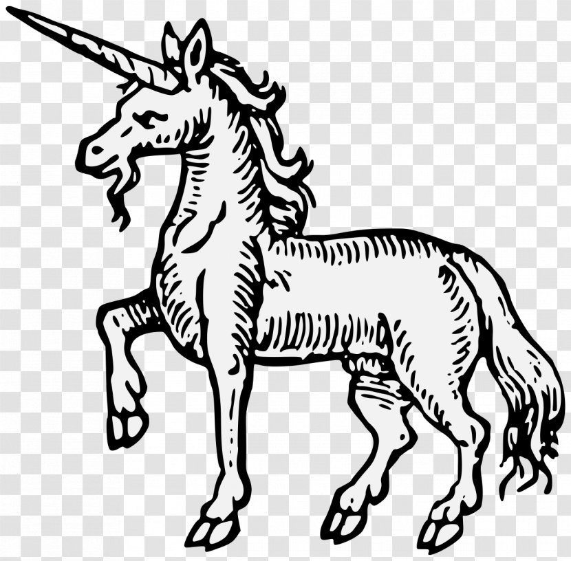 Horse Unicorn A Display Of Heraldrie Art - Organism - Head Transparent PNG