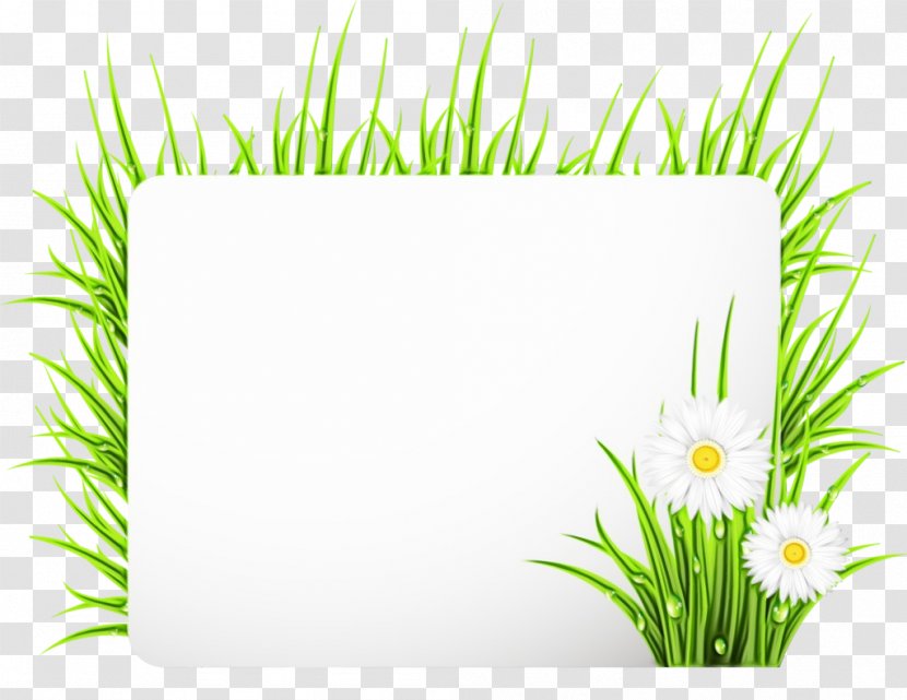 Picture Frame - Vascular Plant - Flower Transparent PNG