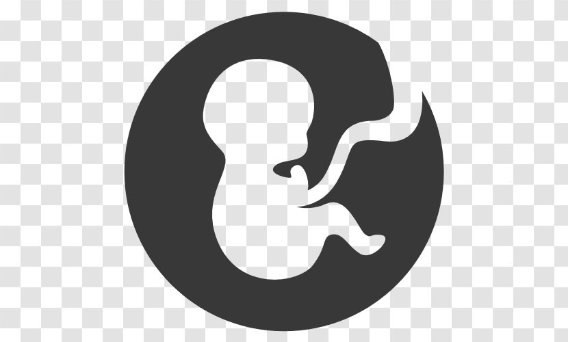 Pregnancy Prenatal Care Doula Childbirth Infant - Development - Birth Transparent PNG