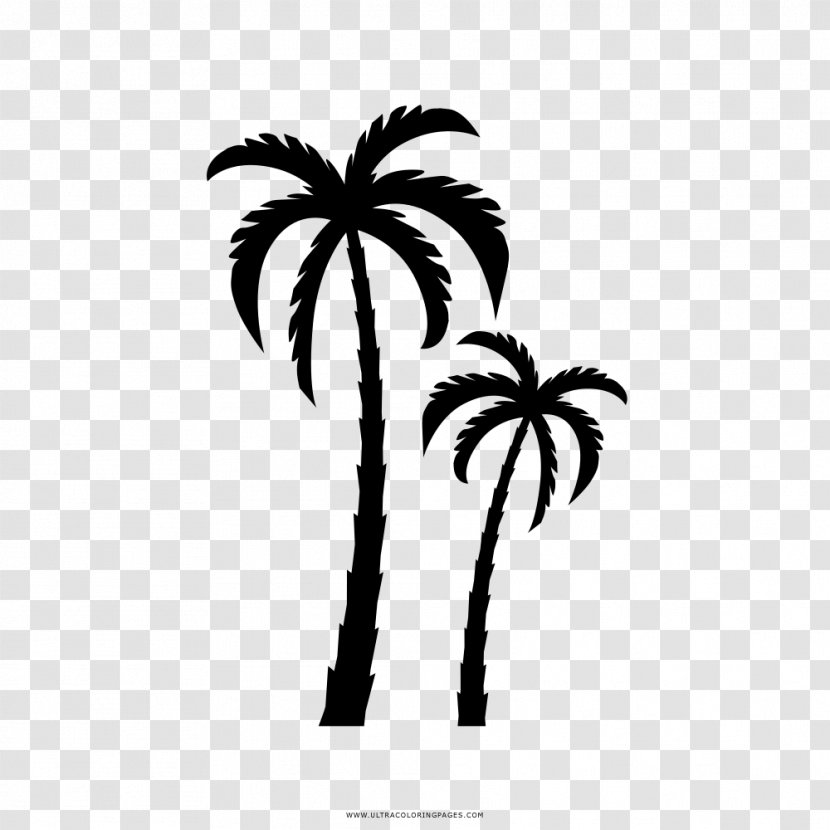 Drawing Coloring Book Arecaceae - Tree - Silhouette Transparent PNG
