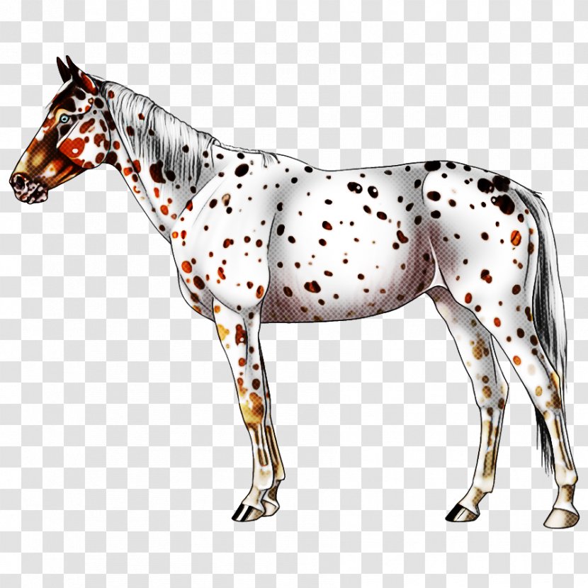 Horse Animal Figure Mare Snout Stallion - Figurine Toy Transparent PNG