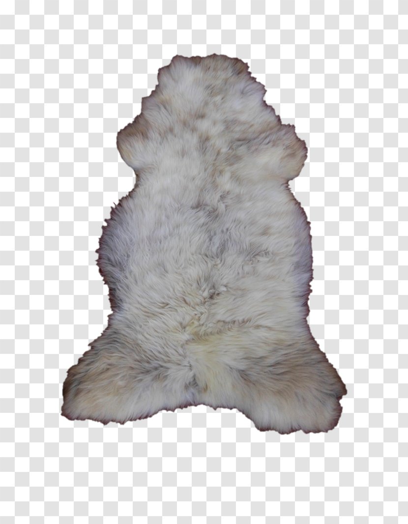 Fur Snout - Dog Like Mammal - Mouton Transparent PNG