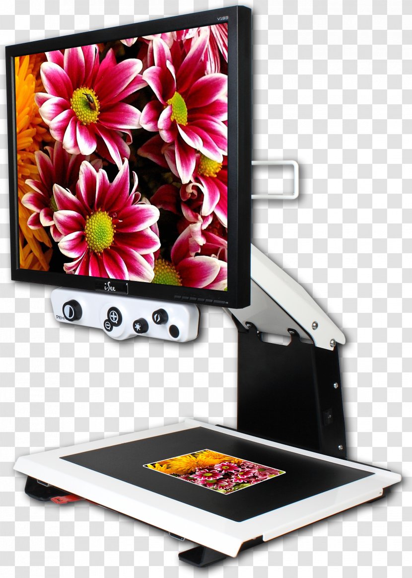 Display Device Computer Monitors Video Magnifier Information Magnification - Multimedia - Adjustment Knob Transparent PNG