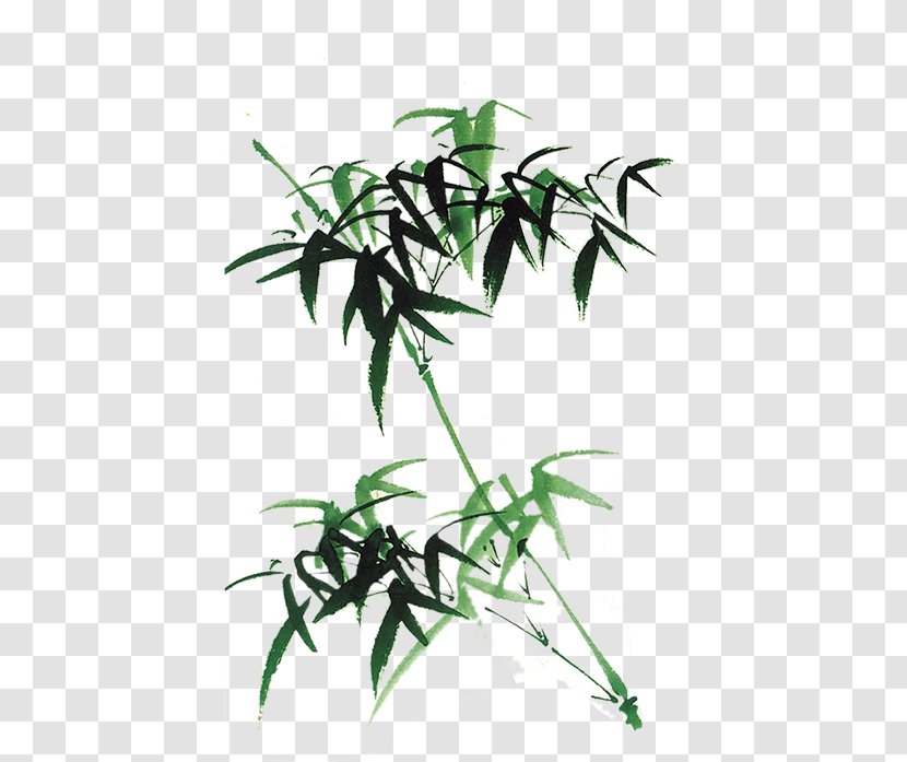 Bamboo Template - Plant Transparent PNG