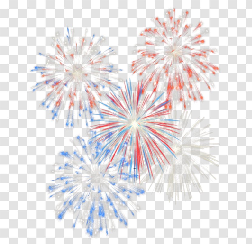 Fireworks Independence Day Clip Art - Point - 4th July Transparent Picture Transparent PNG
