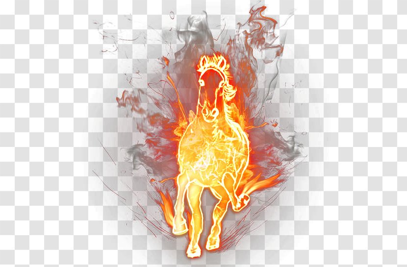 Fire Wallpaper - Horse Transparent PNG