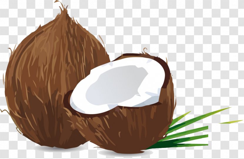 Coconut Material - Wax Transparent PNG