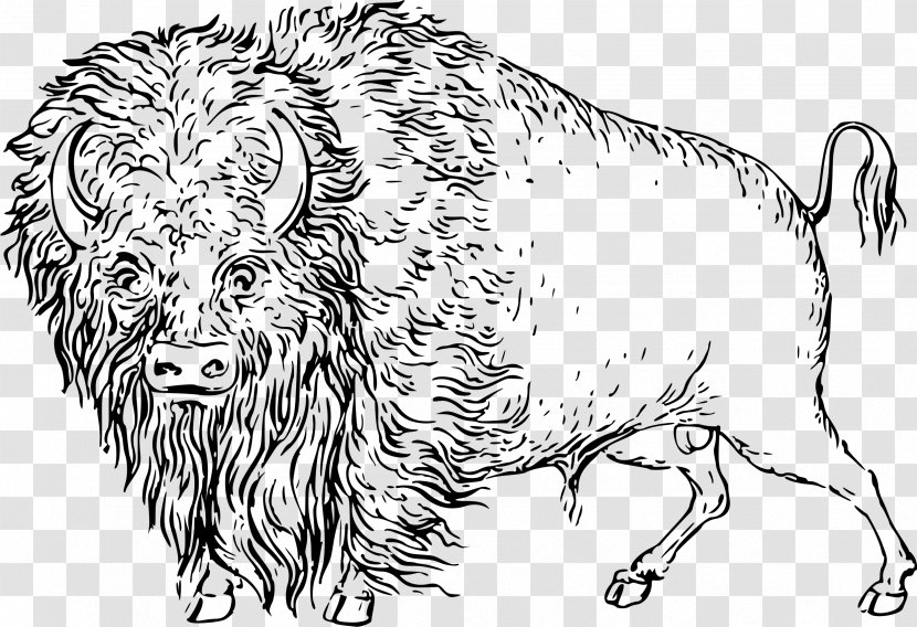 Cattle Line Art Drawing Clip - Bison Transparent PNG