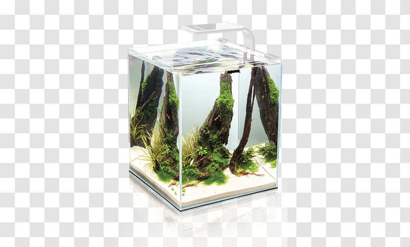 Nano Aquarium Aquael Zoo Shrimp Fishkeeping - Aquariums Transparent PNG