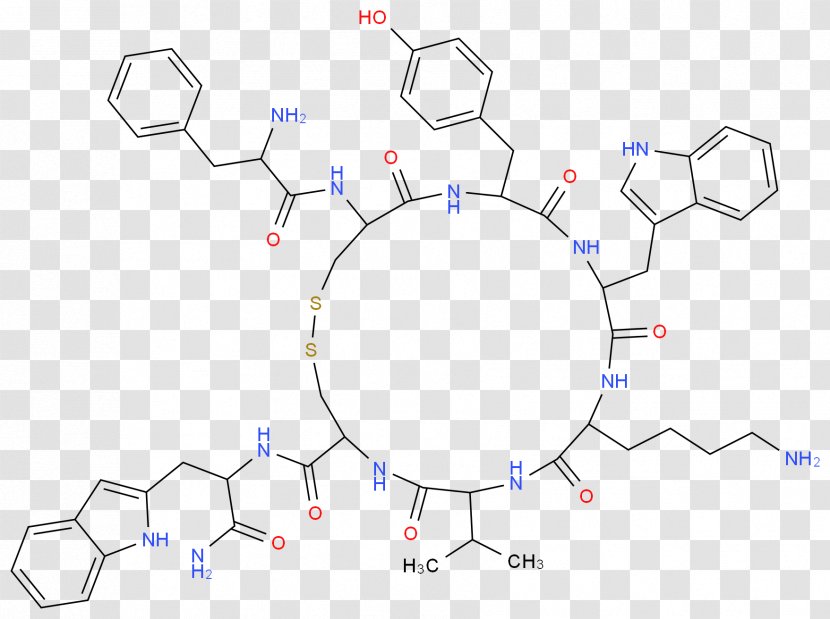 Angle Point Circle Product Diagram - Special Olympics Area M - Chocolate Molecule Structure Transparent PNG