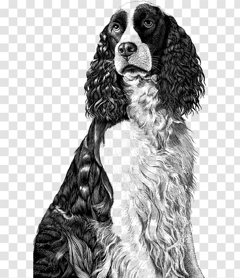 Dog Drawing Scratchboard Illustration - Monochrome - Black And White Curly ​​illustration Transparent PNG