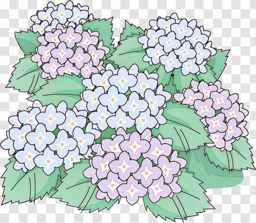 Hydrangea Summer Flower Transparent PNG