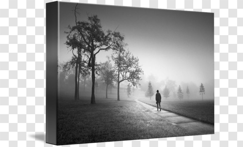 Fog Still Life Photography Desktop Wallpaper - Sky Plc - Mist Transparent PNG