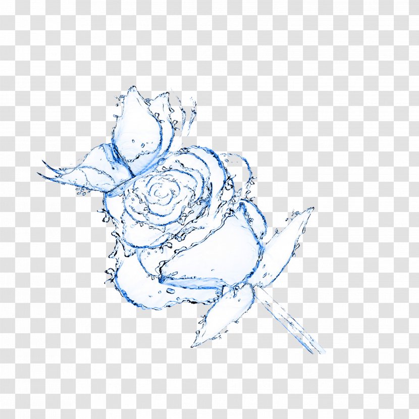 Rose Water Flower Drop Wallpaper - Point - Elemental Transparent PNG