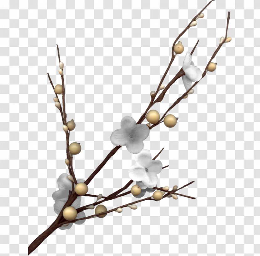 Plum Blossom Download - Tree - White Branches Transparent PNG