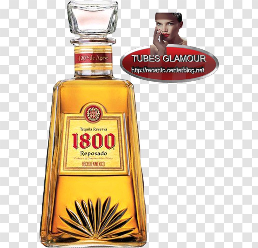 Liqueur 1800 Tequila Distilled Beverage Whiskey - Drink Transparent PNG