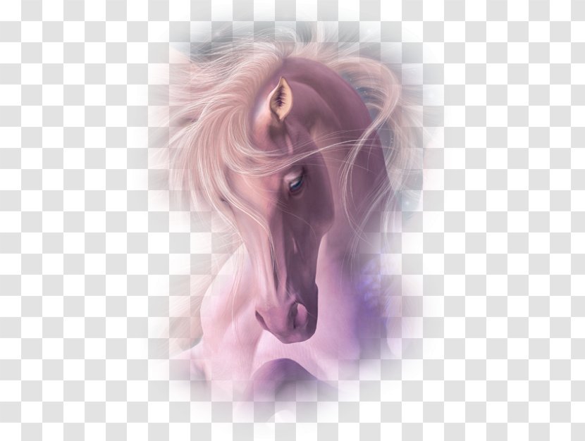 Horse Pony Animation - Nose Transparent PNG