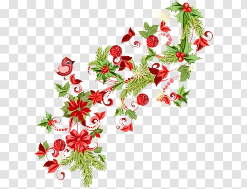 Holly - Plant - Cut Flowers Christmas Transparent PNG