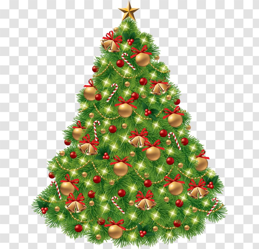 Christmas Tree Clip Art - Evergreen - Beautiful Transparent PNG